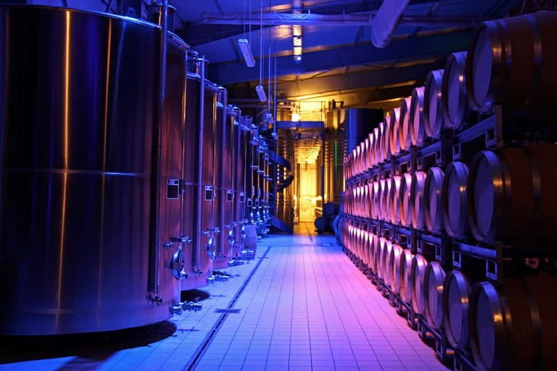 Passy-Grigny: Chocolate and Champagne Tasting Tour - The 90-minute visit, step by step