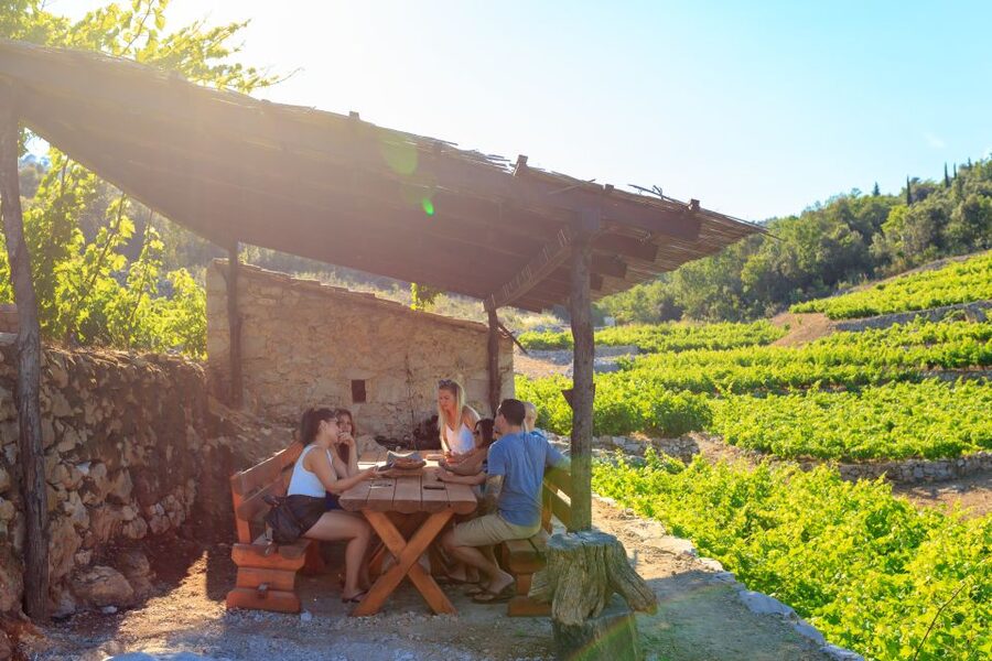 Pelješac Full-Day Wine and Food Tour from Dubrovnik - Why Pelješac makes a better wine escape than another city tasting