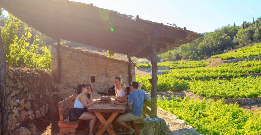 Pelješac Full-Day Wine and Food Tour from Dubrovnik - Ston walls, salt works, and a short history lesson