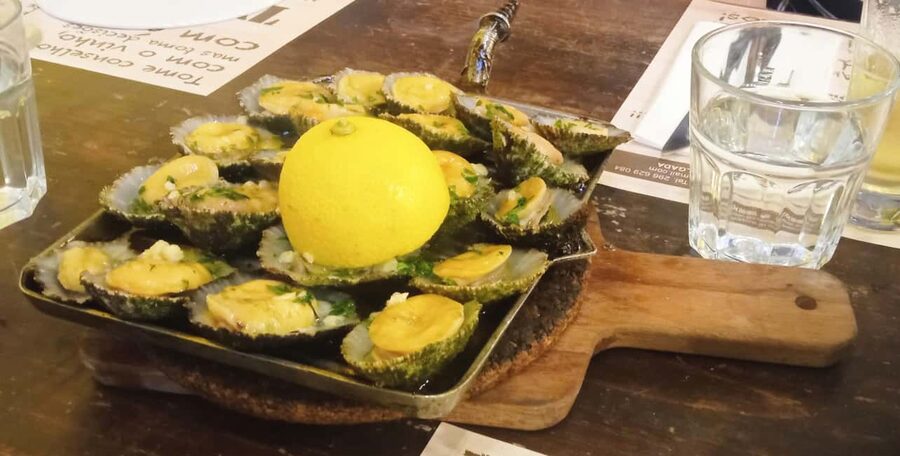 Ponta Delgada: Fat Dolphin Food Tours - What kind of food tour is this?