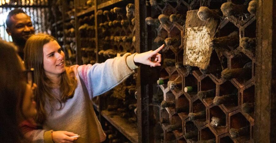 Porto: Food & Wine Tasting Walking Tour with Port Wine Cave - Eat your way through Gaia’s smaller streets