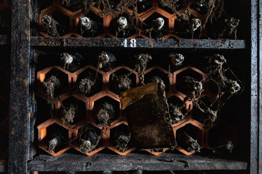 Porto: Food & Wine Tasting Walking Tour with Port Wine Cave - What the guide adds to the food