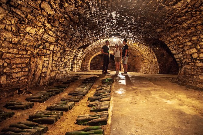Private Bohemia Wine Tour from Prague with Gourmet Tastings - Why this Bohemia wine tour works