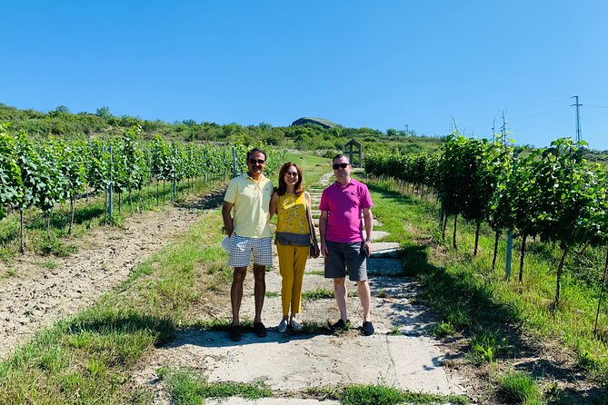 Private Bohemia Wine Tour from Prague with Gourmet Tastings - Žalhostice and wines shaped by volcanic slopes