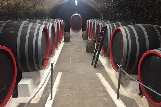 Private Bohemia Wine Tour from Prague with Gourmet Tastings - Třebívlice and the modern Czech wine estate