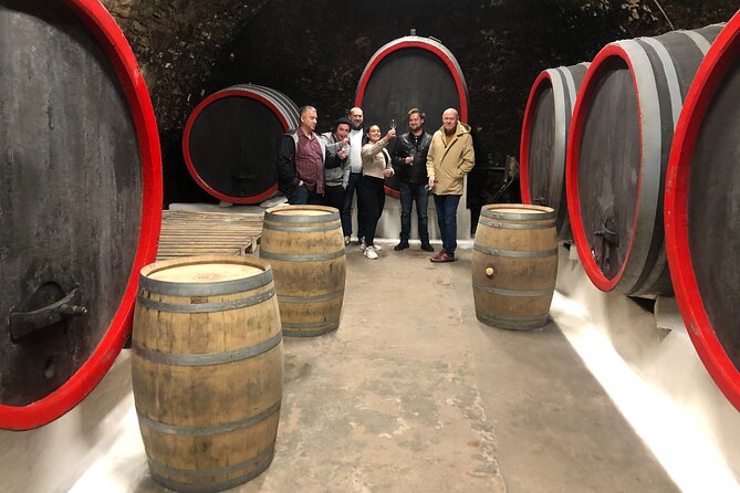 Private Bohemia Wine Tour from Prague with Gourmet Tastings - What the $359.22 price buys you
