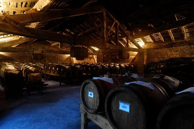 Private Emilia Romagna Food Tour Full Day - Starting early from Parma, Bologna, or Milan