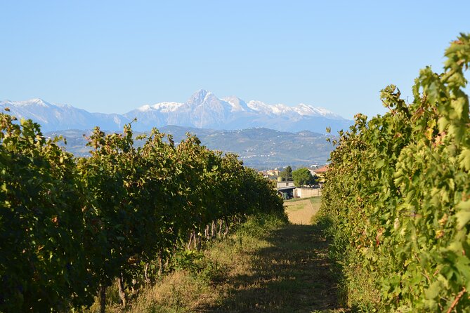 Private Food and Wine Tour in the Cellar with Tastings - Key points to know before you book
