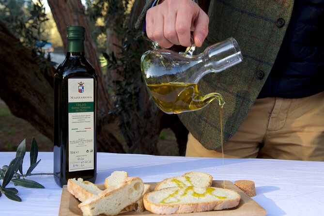 Private Food and Wine Tour in the Cellar with Tastings - The address needs careful checking