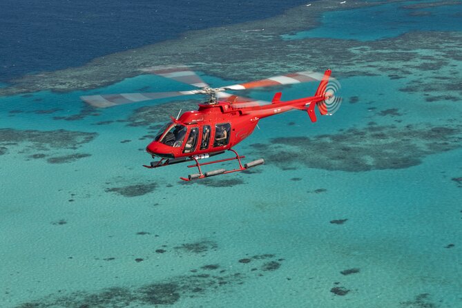 Private Helicopter Tour: Reef Island Snorkeling and Gourmet Picnic Lunch - Two hours for snorkeling, swimming, and doing very little