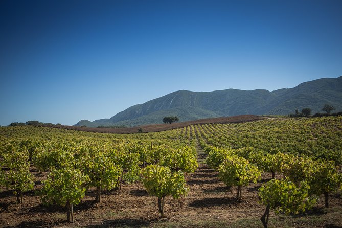 Private Lisbon Arrabida Wine Tour: Food & Wines, Mountain and Sea - Arrábida Natural Park and the Atlantic views