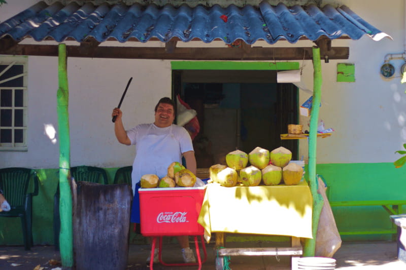 Puerto Vallarta 3-Hour Food Tour of Authentic Local Cuisine - Seven stops, or sometimes eight, of local food