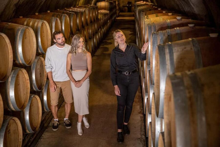 Queenstown: Wine & Food Tour, Scenic Tastings & Paired Lunch - Booking tips for a smoother day