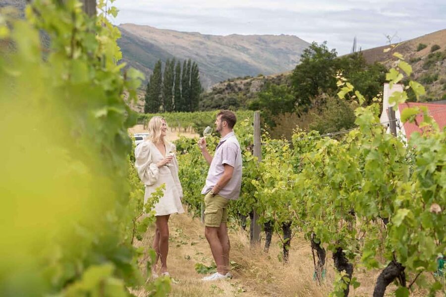 Queenstown: Wine & Food Tour, Scenic Tastings & Paired Lunch - Should you book the Queenstown Wine Trail?