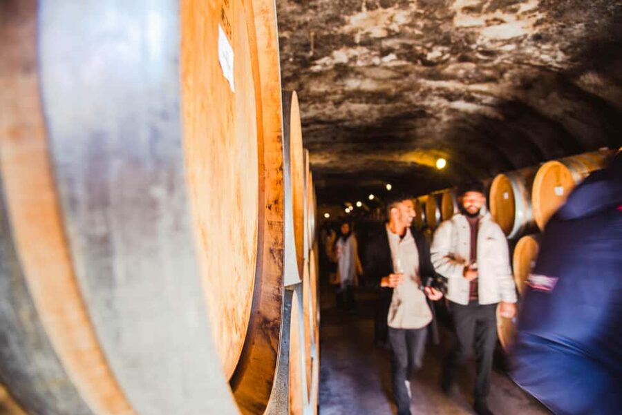 Queenstown: Wine Tasting Tour - What the 18-plus tastings really mean