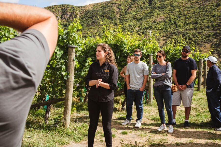 Queenstown: Wine Tasting Tour - Is $134 good value?
