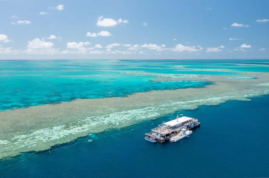 Reef Sleep: 2-Day Great Barrier Reef Pontoon & Gourmet Meals - Who will enjoy this most