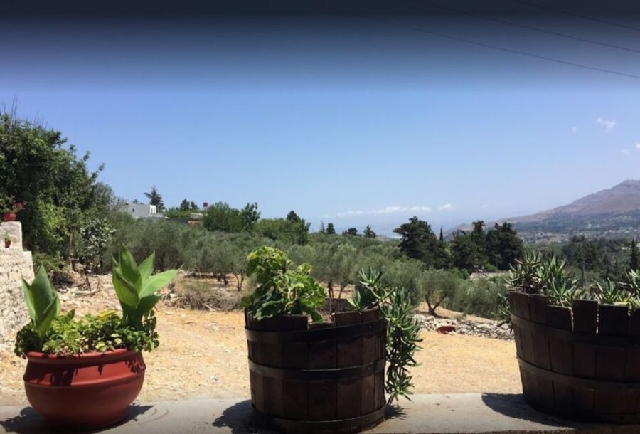 Rethymno: Private Winery & Olive Oil Tasting Tour with Lunch - Why this five-hour tour works well from Rethymno