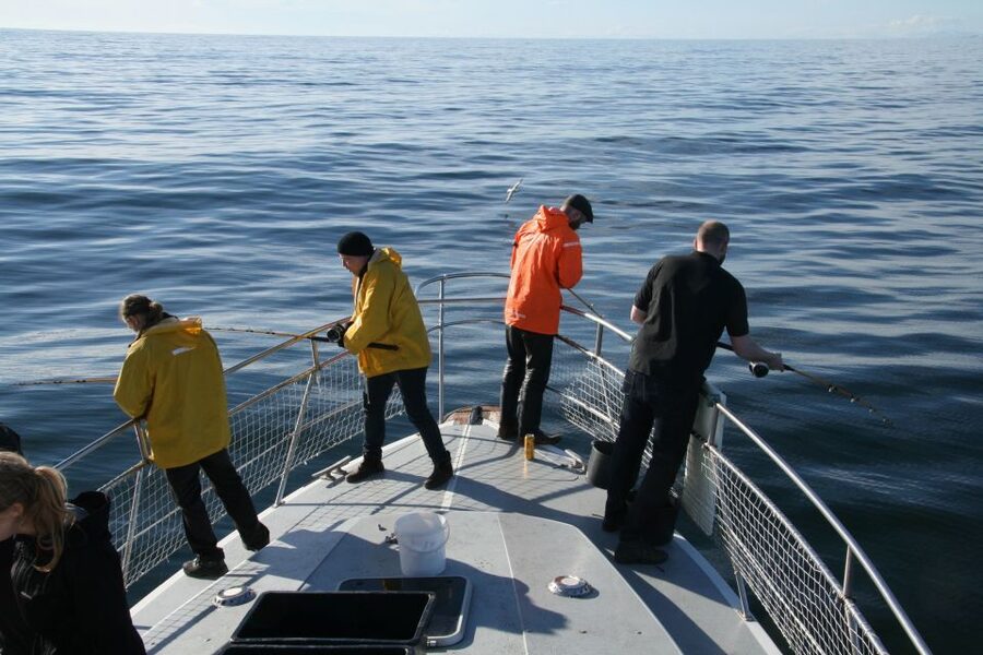 Reykjavik: 3-Hour Sea Angling Gourmet Experience Tour - Key points before you book