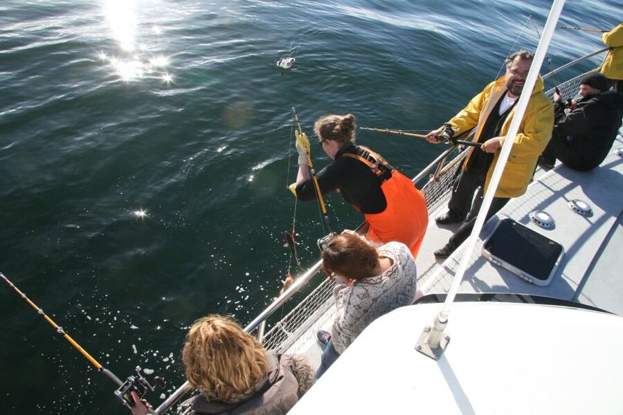 Reykjavik: 3-Hour Sea Angling Gourmet Experience Tour - From fresh catch to barbecue lunch