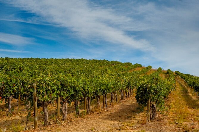 Rhodes Wine & Food Tour: 10 Meal Course Lunch, Wine Tasting, Cooking Class - The ten-course lunch and unlimited wine