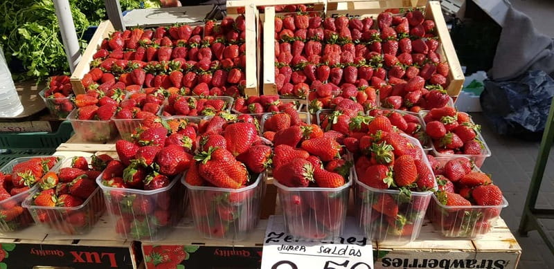 Riga: Central Market Latvian Food Tour - Fish, smoked foods, and flavors worth trying