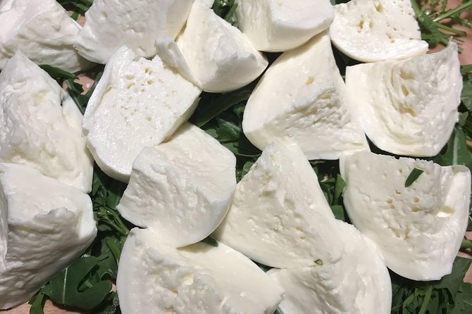 Roman Food Tour with Visit to the Trionfale Food Market - The guides make the difference