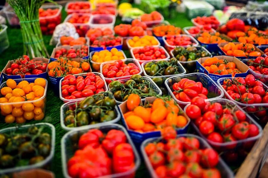 Rome: 3-Hour Guided Food Tour with Tastings - Is $115.98 a fair price?