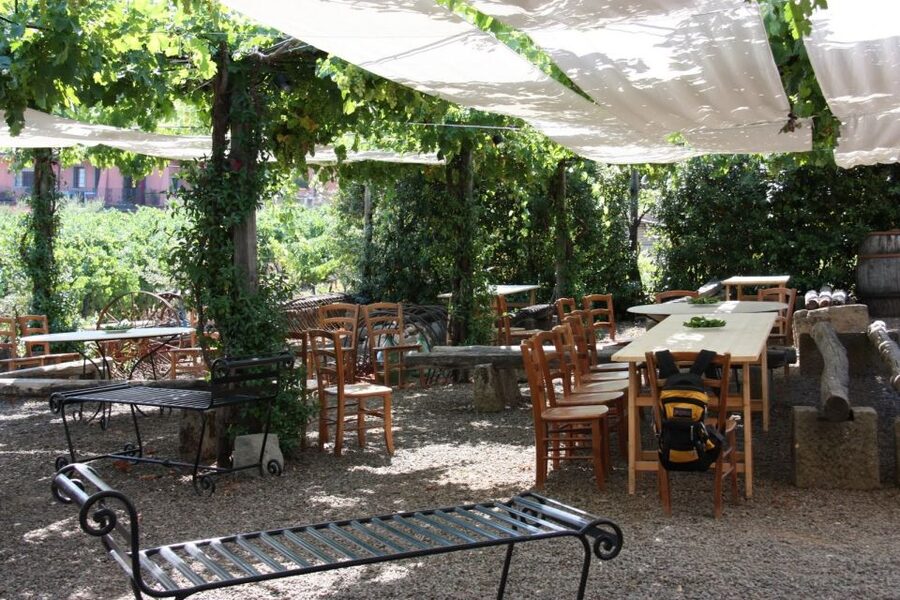 Rome: Private Castelli Romani Wine Tasting Tour - Practical advice before you reserve