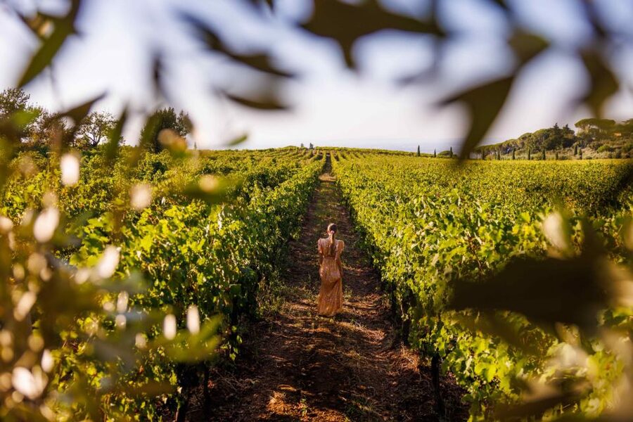 Rome: Private Countryside Wine Tasting Tour - My final take: a relaxed country break with strong food value