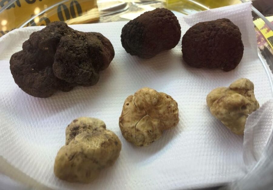 Rome: Trastevere Guided Food and Wine Tour with 20+ Tastings - Starting at Piazza Trilussa with trapizzino