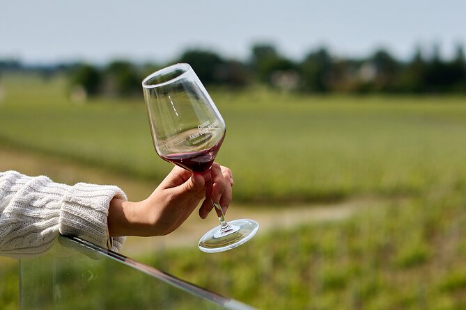 Saint-Émilion day tour: village visit, Châteaux and lunch - Guides make or break the day