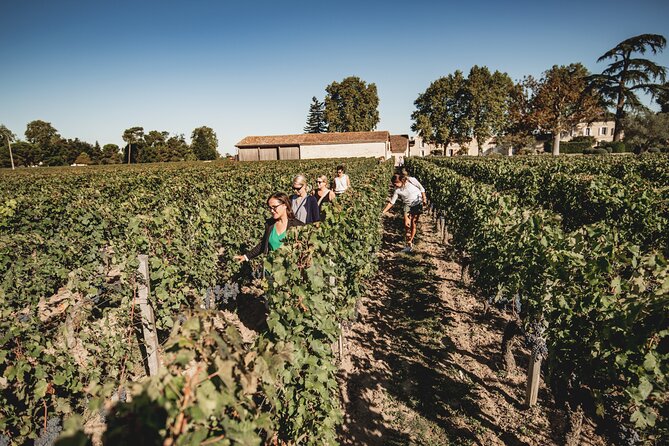 Saint-Emilion Food and Wine Day Tour - Starting in Bordeaux and crossing to the vineyards
