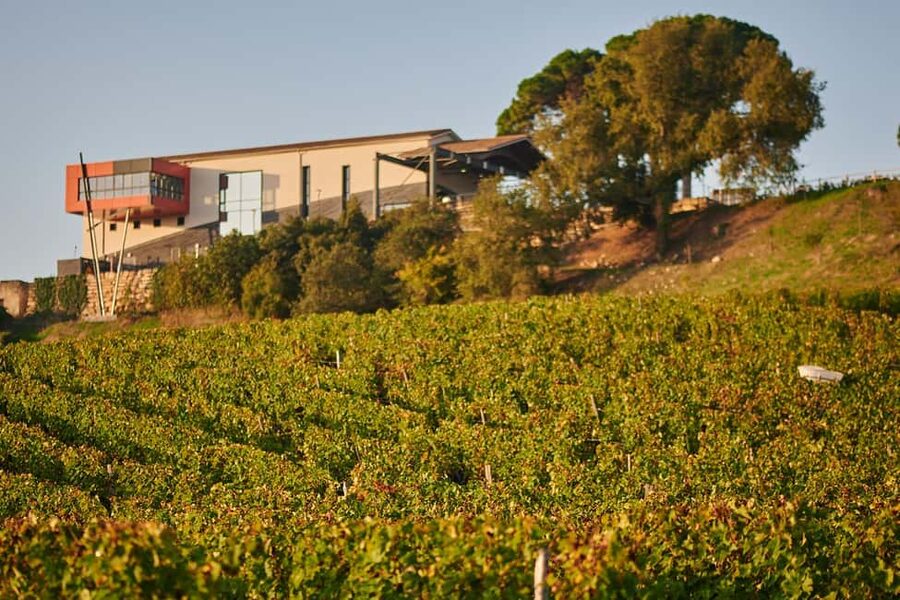 Saint-Emilion: Grand Cru Classé Gourmet Visit - Two Saint-Emilion Estates, Two Ways to Make Wine