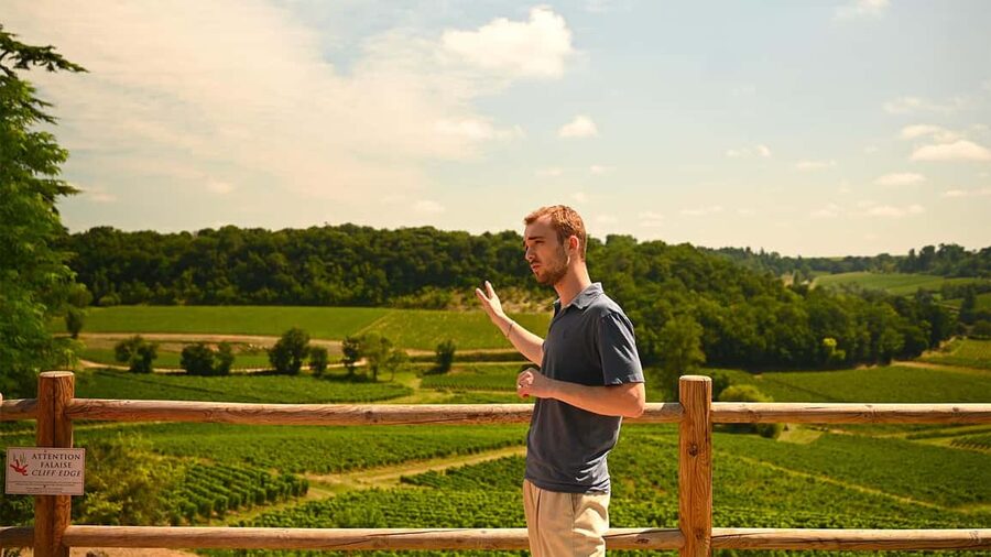 Saint-Emilion: Grand Cru Classé Gourmet Visit - Vineyard Views From the Outdoor Terrace