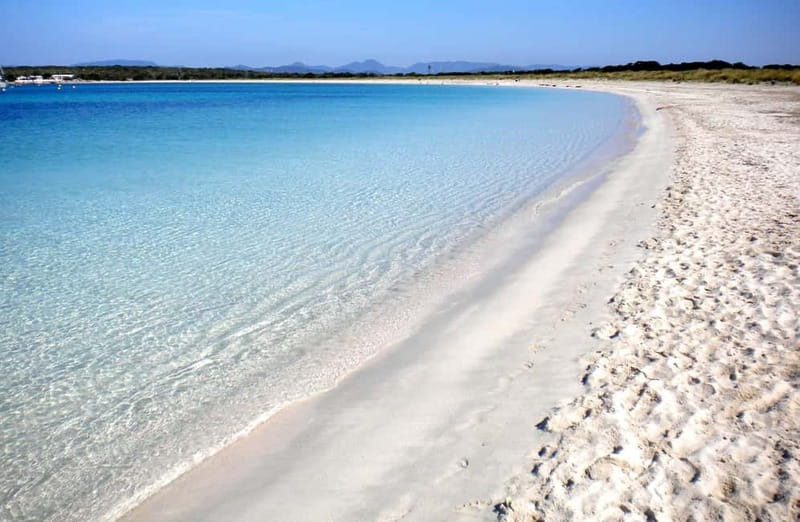 San Antonio: Es Vedrà, Formentera Tour with Food & Drinks - Key points to know before booking