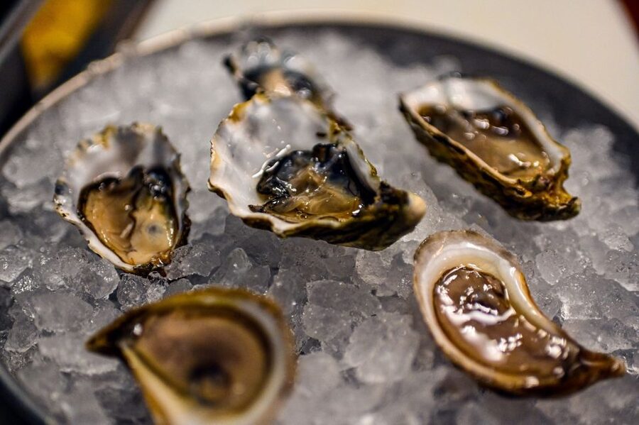 San Francisco: Mission District Food Tour with 6 Tastings - Is $90 a fair price?