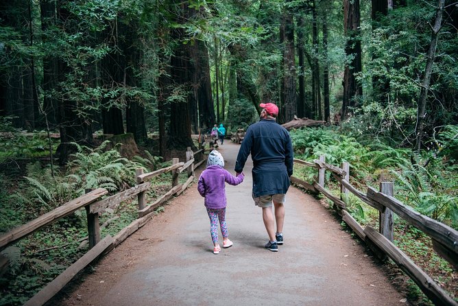 San Francisco Super Saver: Muir Woods & Wine Country w/ optional Gourmet Lunch - Why This Combination Works in One Long Day