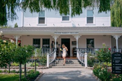 San Francisco Super Saver: Muir Woods & Wine Country w/ optional Gourmet Lunch