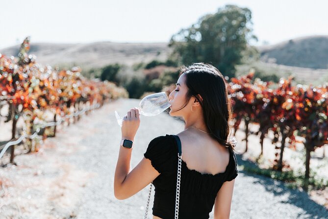 San Francisco Super Saver: Muir Woods & Wine Country w/ optional Gourmet Lunch - Sonoma Plaza: Lunch, History, and a Useful Break
