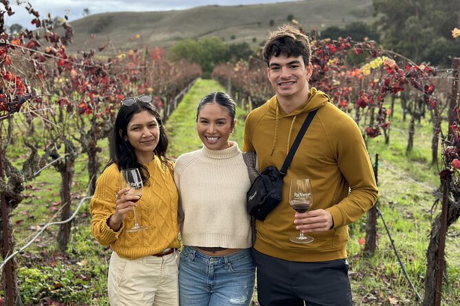 San Francisco Super Saver: Muir Woods & Wine Country w/ optional Gourmet Lunch - Mayo Family Winery and the Small-Batch Feel