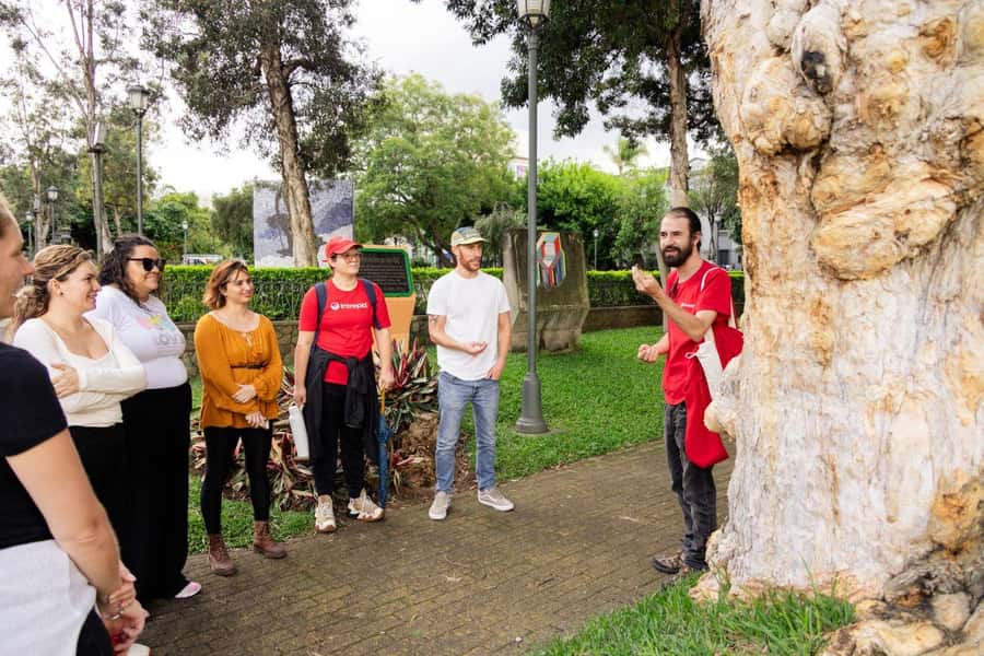 San José: Night Food and Culture Tour with Dinner - Should You Book the San José Night Food and Culture Tour?