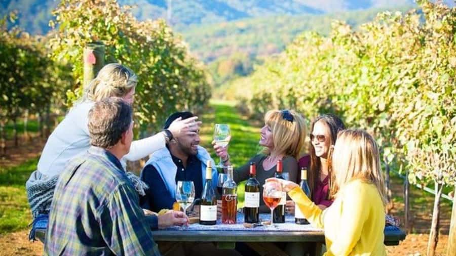 Santiago: Maipo Valley Wine Tasting Tour with 4 Vineyards - The quick take