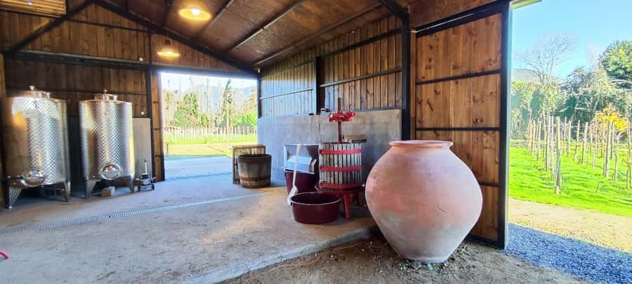 Santiago: Maipo Valley Wine Tasting Tour with 4 Vineyards - Undurraga finishes with scale and tradition