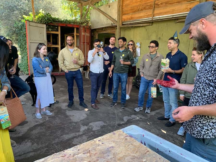 Santiago: Maipo Valley Wine Tasting Tour with 4 Vineyards - How much wine will you taste?