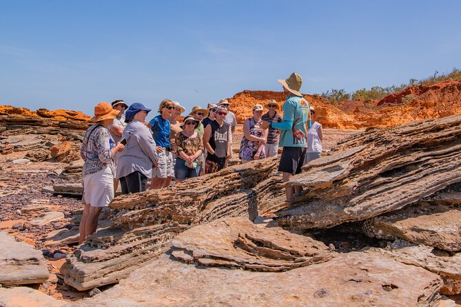 SCENIC AND PREHISTORIC CRUISE - Sparkling Wine & Gourmet Platters - Understanding the dinosaur footprints