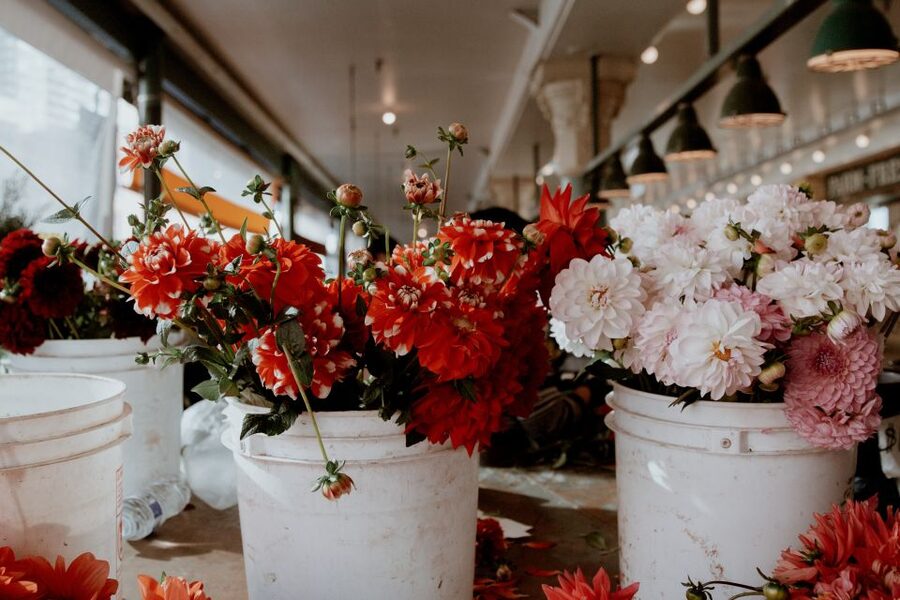 Seattle: Early-Bird Tasting Tour of Pike Place Market - Who should book this two-hour tour?
