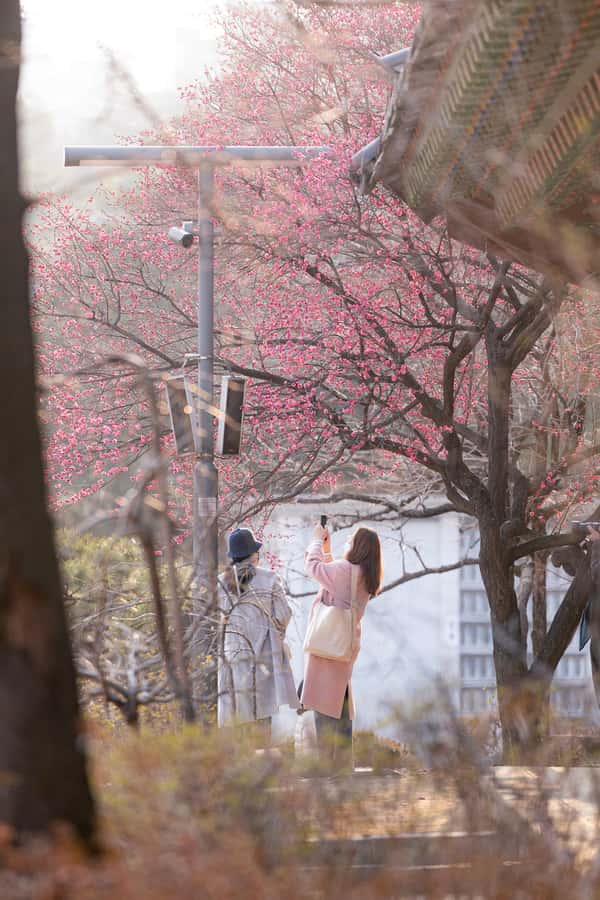 Seoul: Temple & Starfield COEX Mall Gourmet Tour in Gangnam - Who Will Enjoy This Most