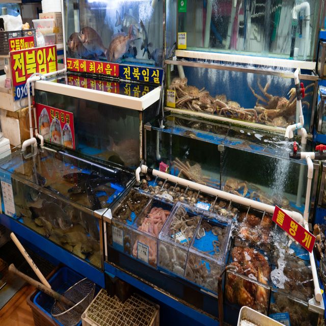 Seoul: The Biggest Sea-food Noryangjin Market Tour - Seeing Korean seafood before it reaches your plate
