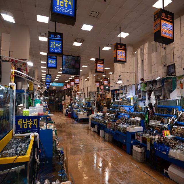 Seoul: The Biggest Sea-food Noryangjin Market Tour - Who will enjoy this fish market visit most